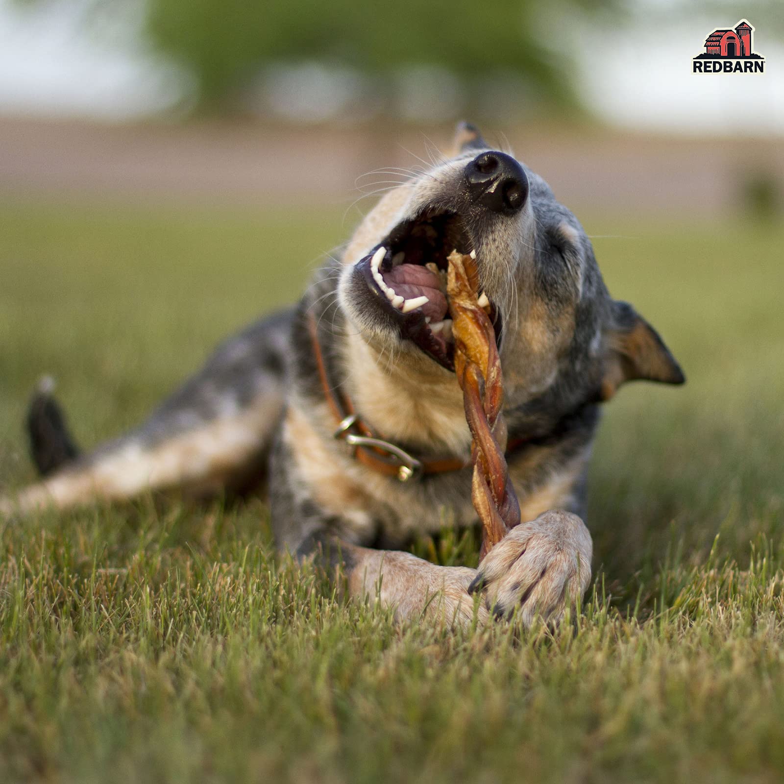 Redbarn long-lasting chew for dogs, satisfying natural urge to chew and reduce boredom.