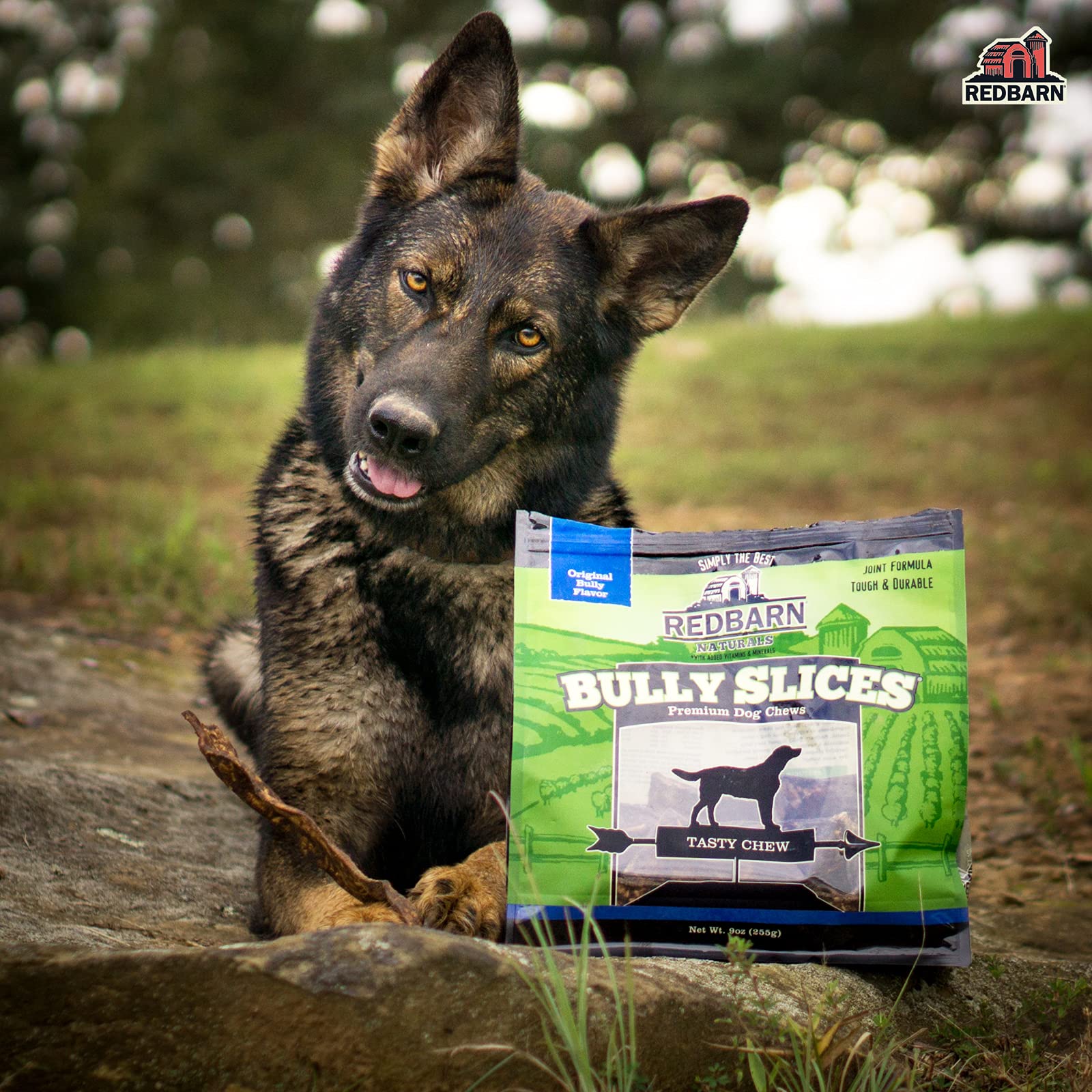 Redbarn Naturals Bully Slices dental image—chewing may clean teeth and gums.