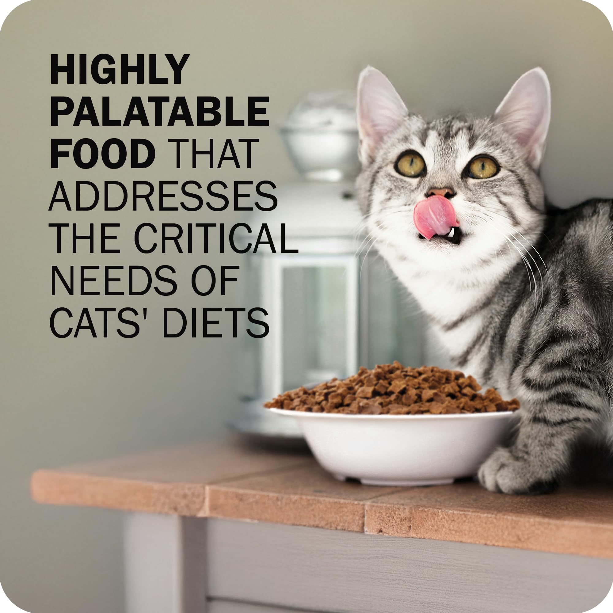 Redbarn Powerfood chicken organs closeup highlights nutrient-dense ingredients for healthy growth.