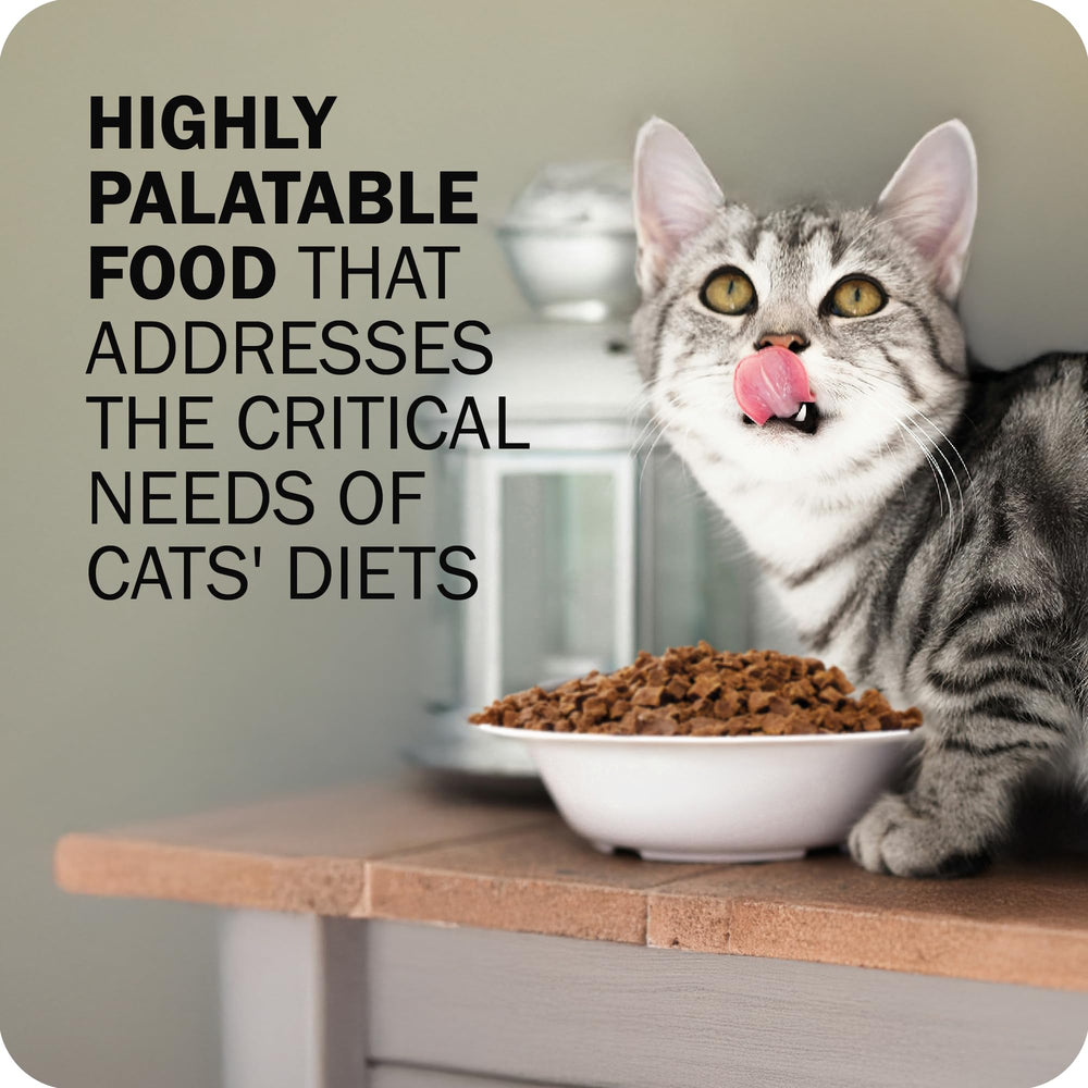 Redbarn Powerfood chicken organs closeup highlights nutrient-dense ingredients for healthy growth.