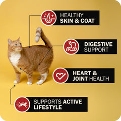 Redbarn Powerfood green-lipped mussels closeup suggests joint support in a flavorful diet.