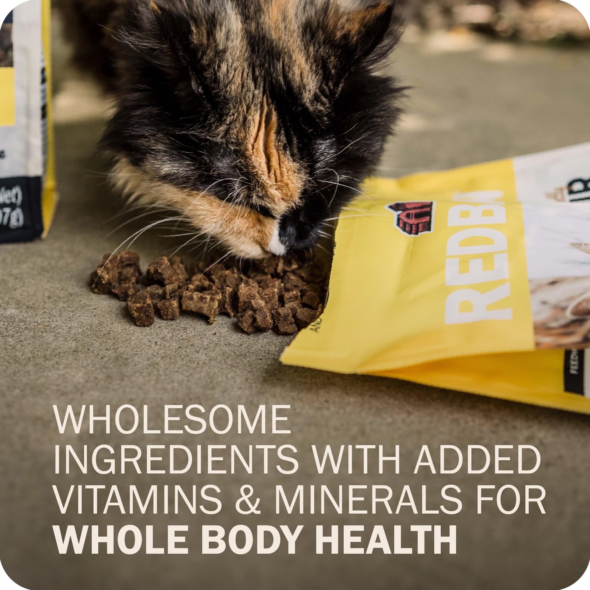 Redbarn Powerfood salmon oil and flaxseed image hints at healthy skin and coat.