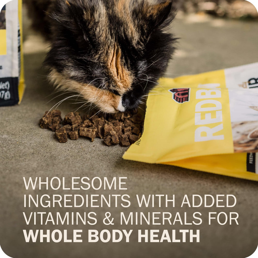 Redbarn Powerfood salmon oil and flaxseed image hints at healthy skin and coat.