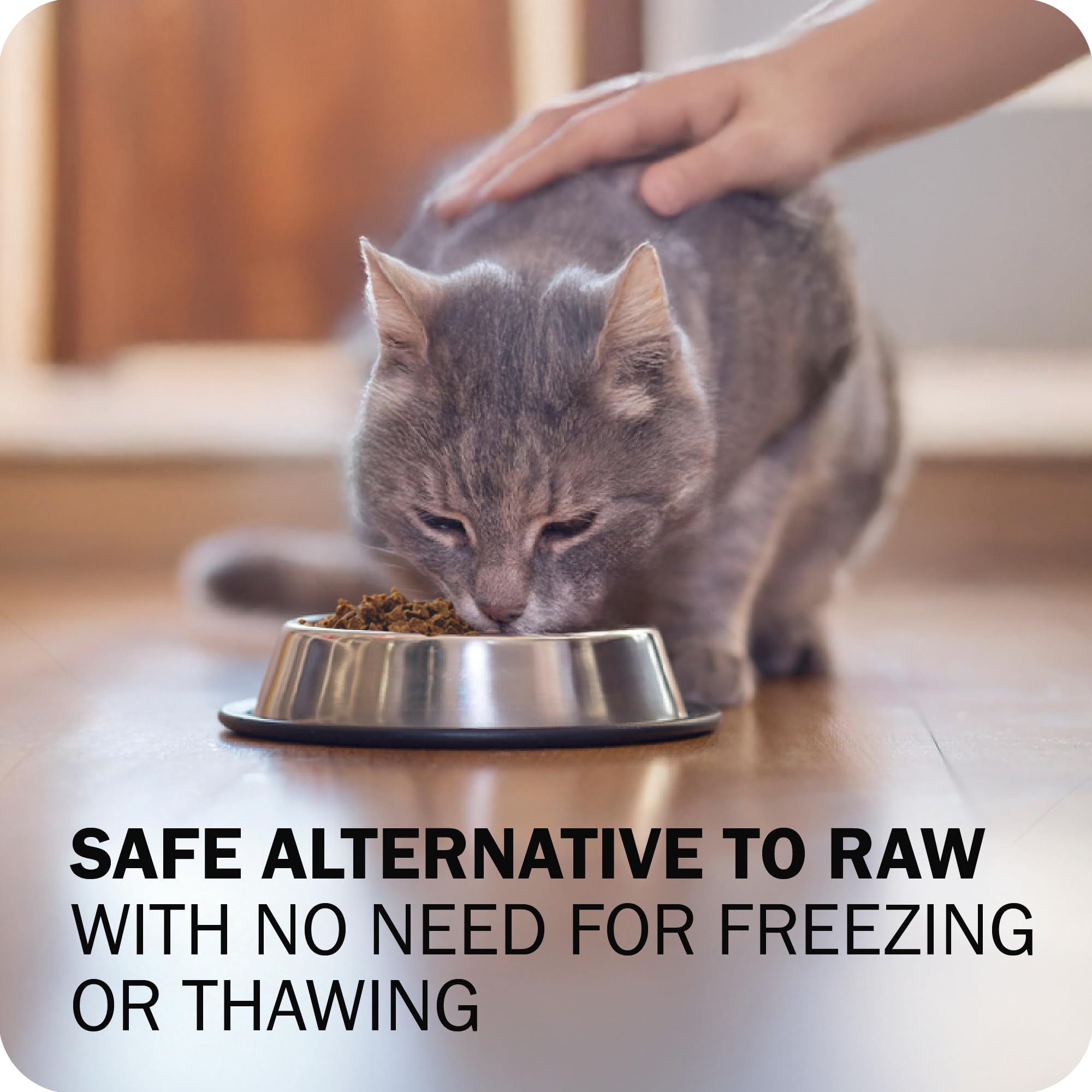 Redbarn Powerfood topper serving bowl shows versatile feeding for meals or toppers.