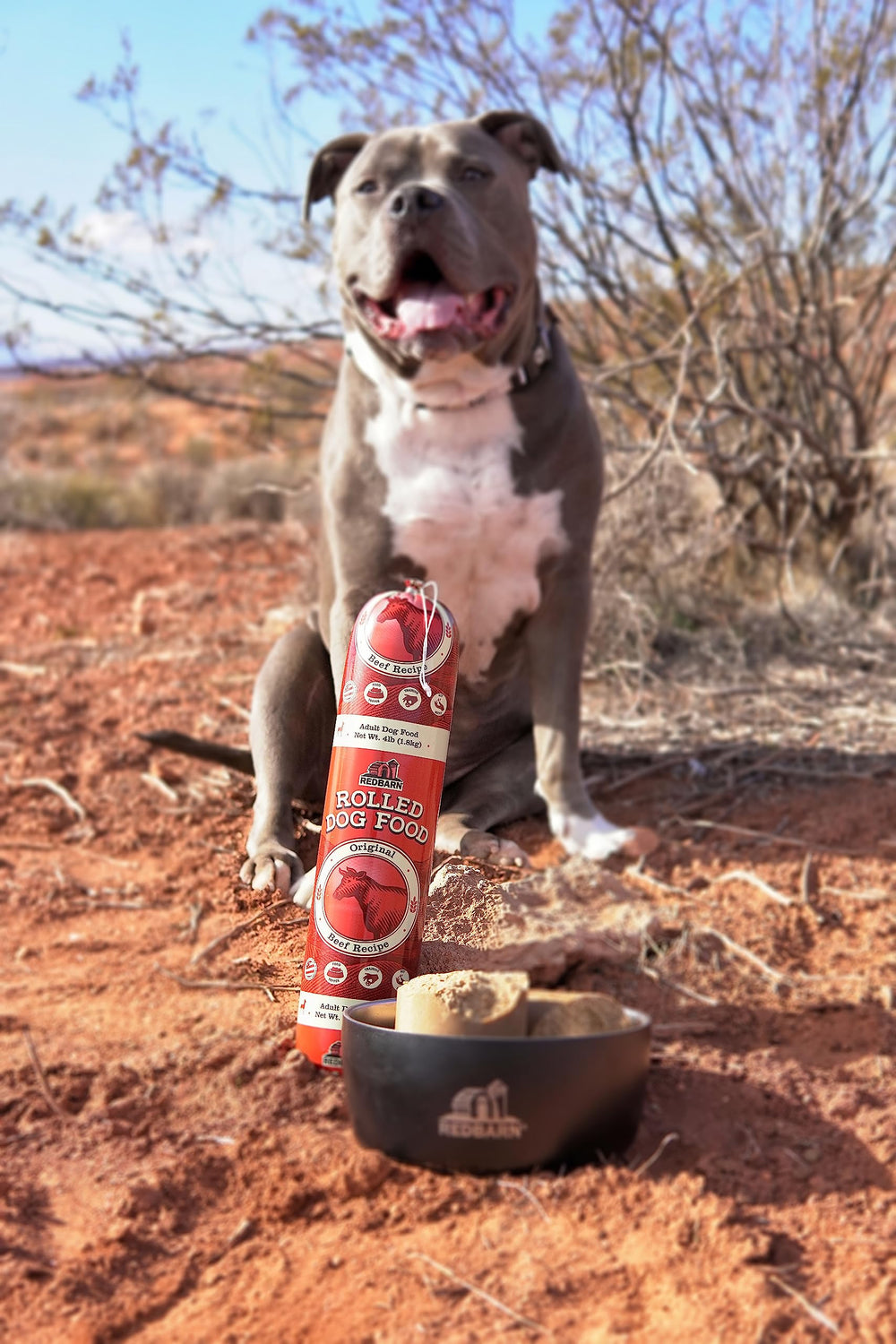 Redbarn Premium Rolled Dog Food sunflower oil focus features omega-6 for coat health