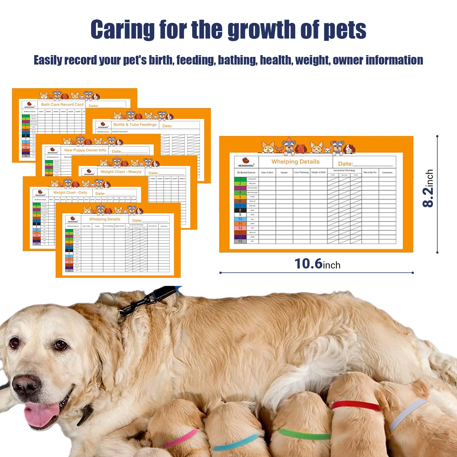 REDDODOU pet ID collars set highlighting newborn identification