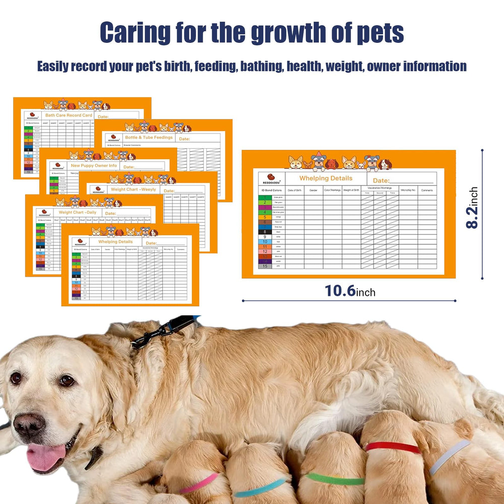 REDDODOU pet ID collars set highlighting newborn identification