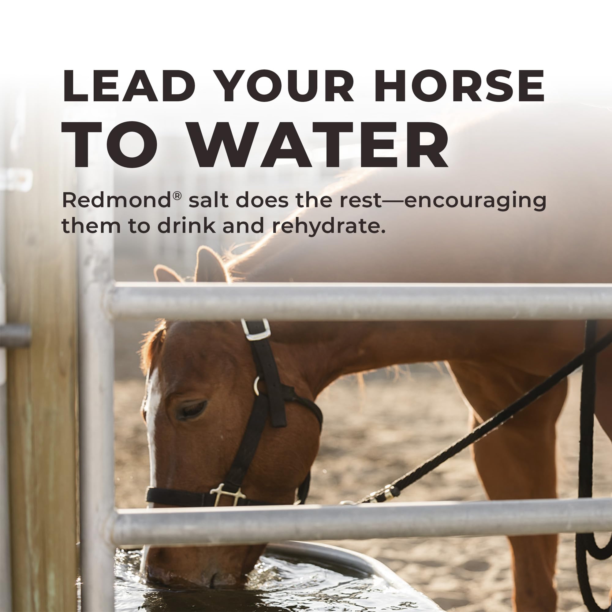 REDMOND Daily RED Crushed packaging emphasizes no fillers or flavors.