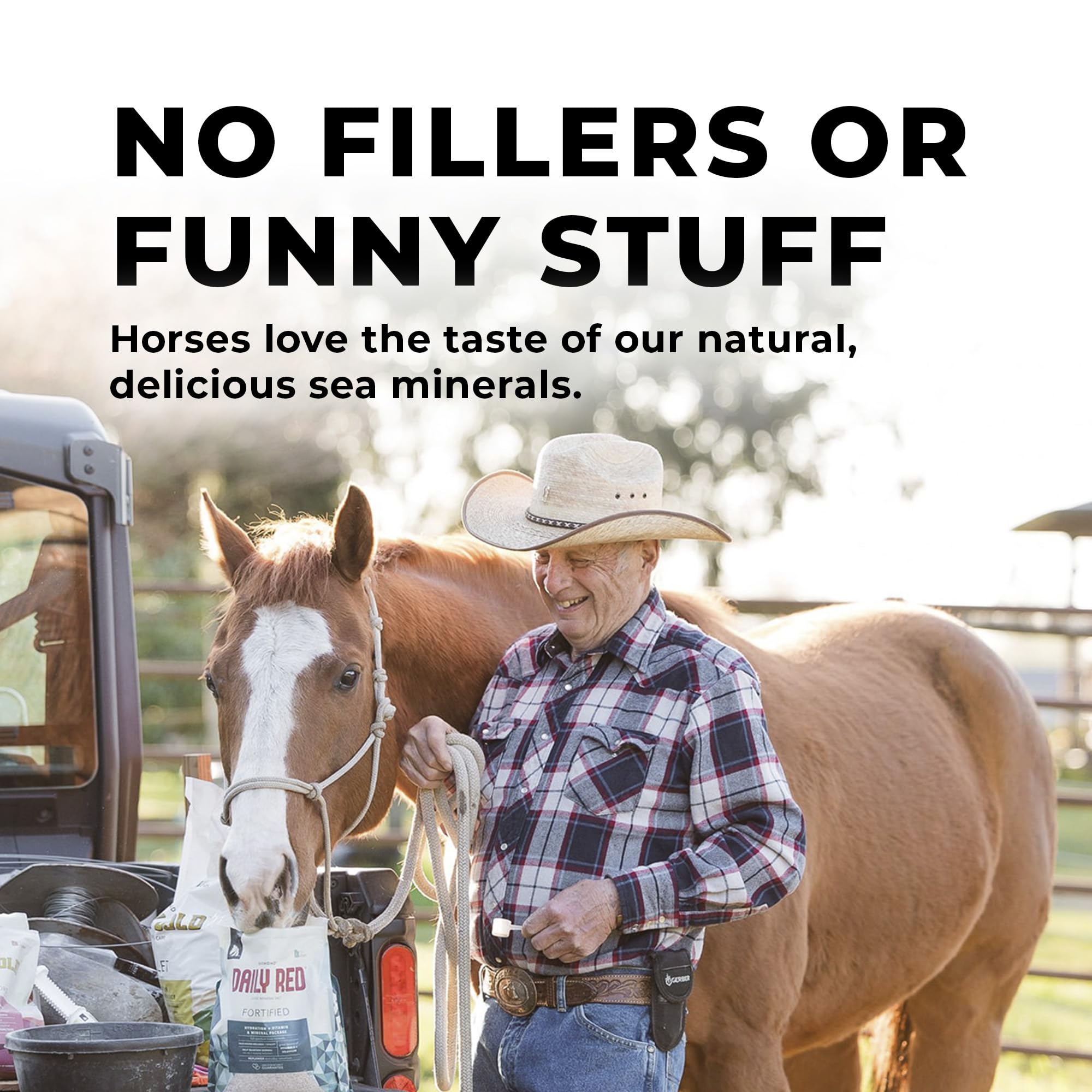 REDMOND Daily Red horse feeding scene illustrates simple integration into meals.