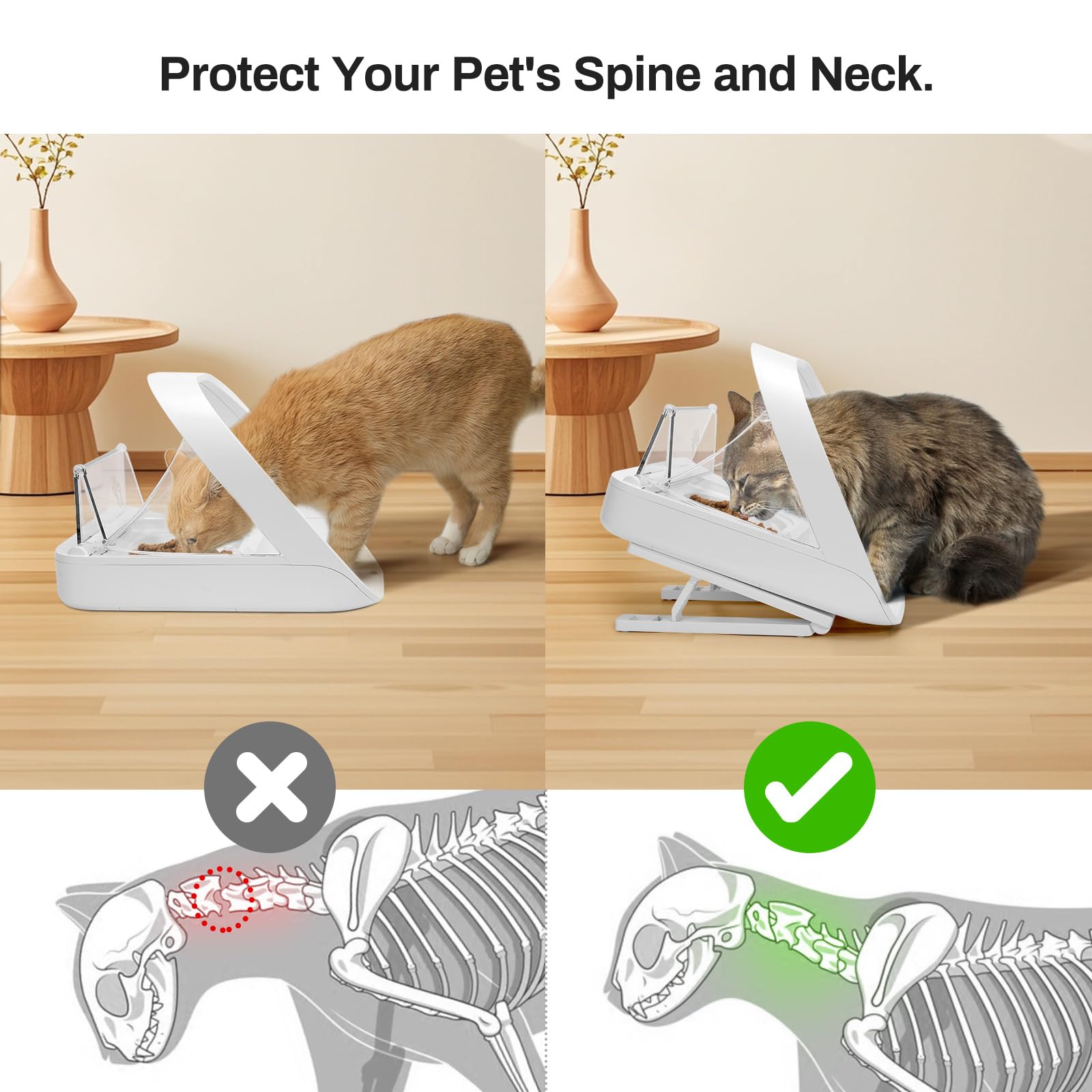 Redoso feeder stand with 20-degree tilt for ergonomic alignment for sensitive cats.