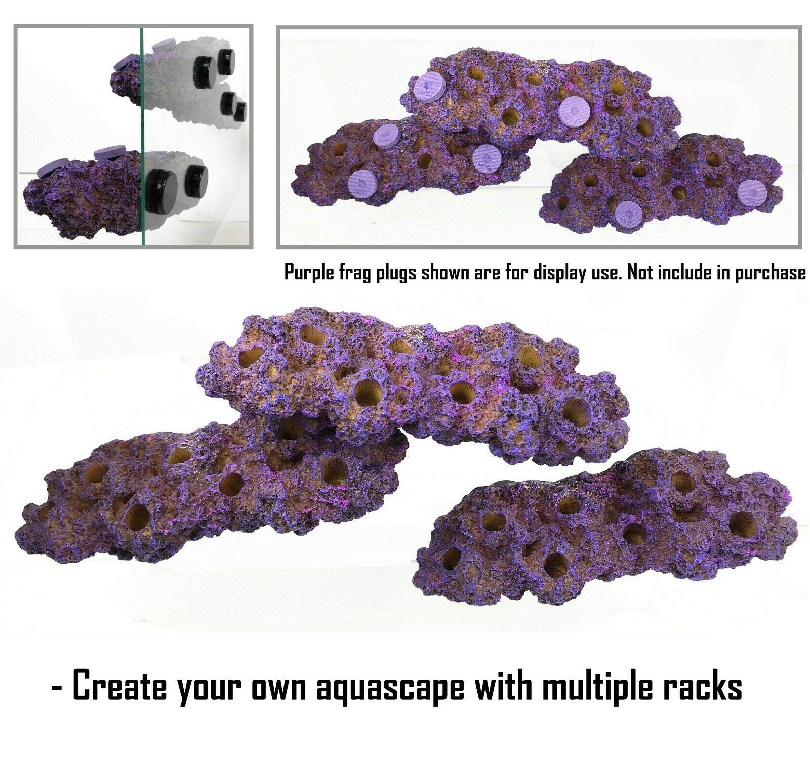 Reefing Art frag rack on 1/2-inch glass supports easy accessibility and observation