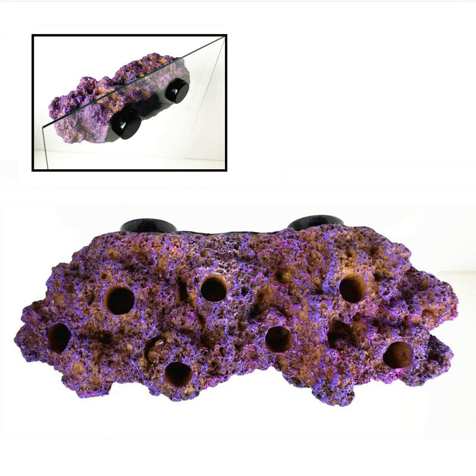 Reefing Art strong N52 magnets anchor frag racks securely for reliable display