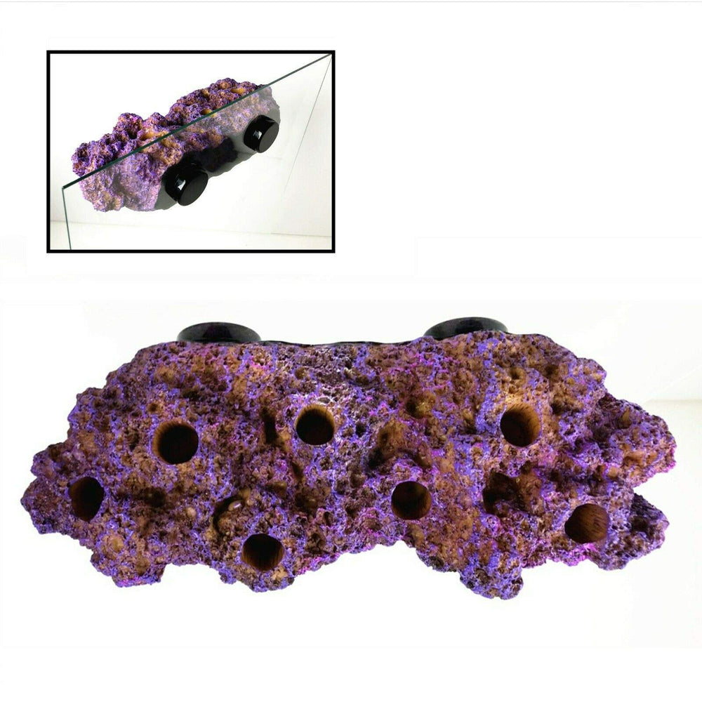 Reefing Art strong N52 magnets anchor frag racks securely for reliable display