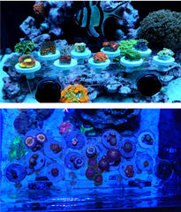 Reefing Art waterproof magnets N52 closeup communicates strong magnetic hold with ABS shell protection.