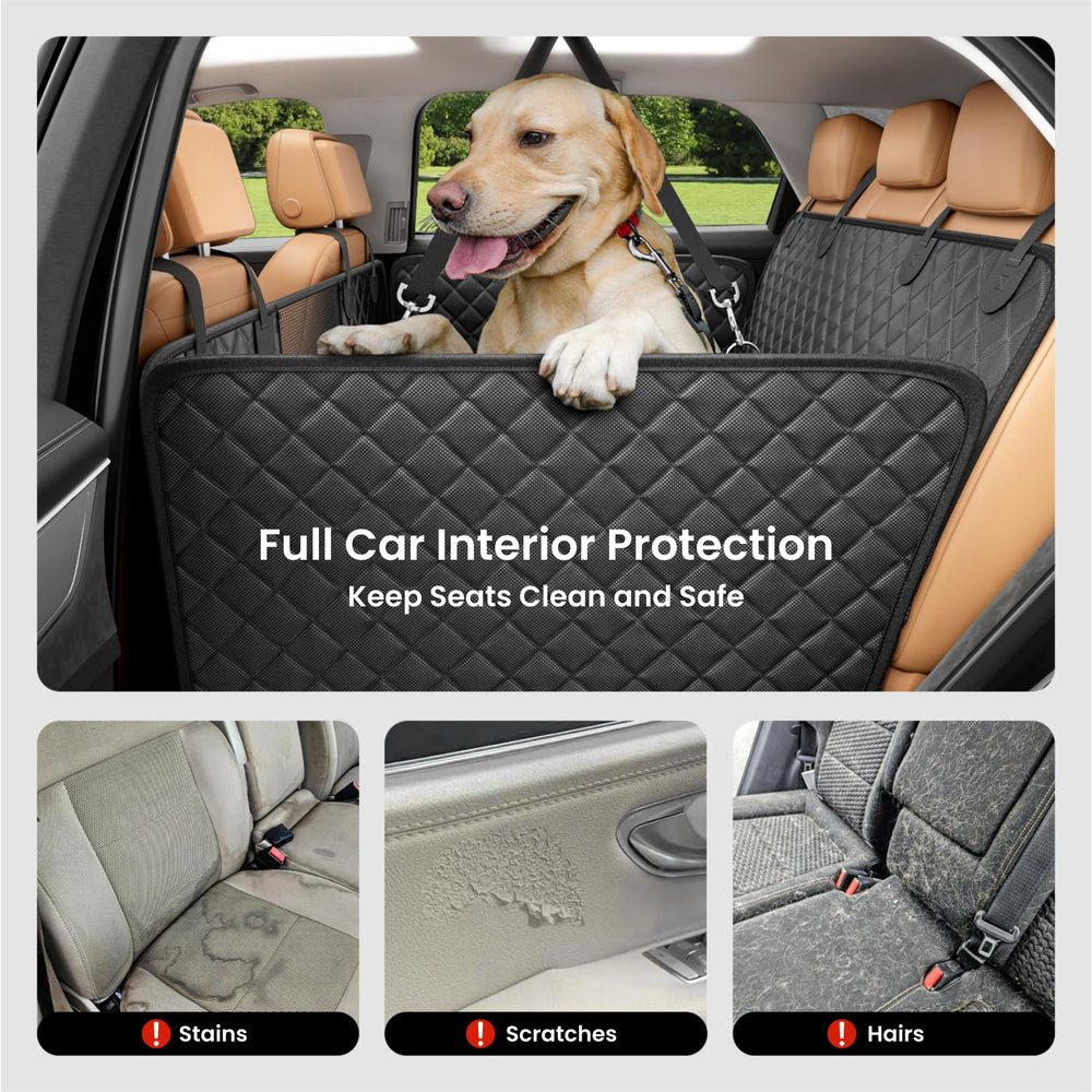 REEVAA non-slip base keeps dogs steady through turns and stops.