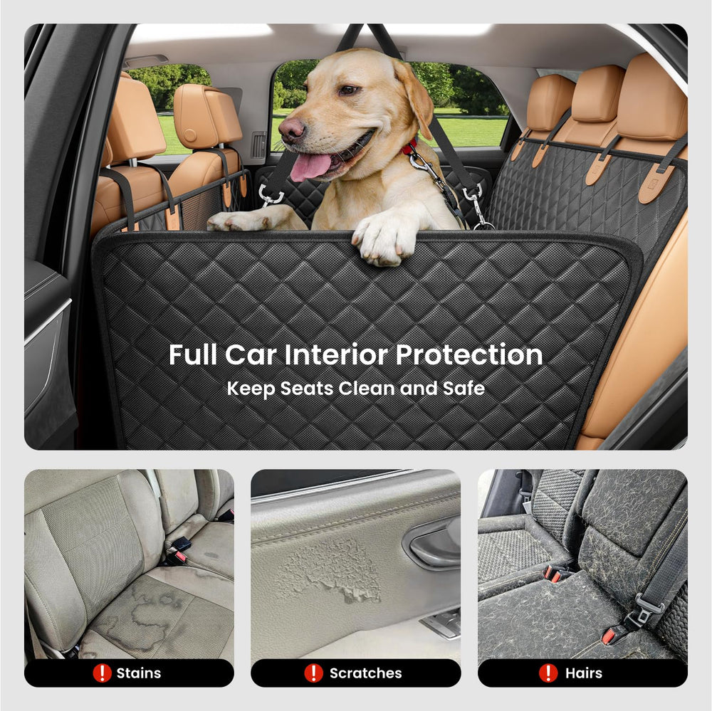 REEVAA non-slip base keeps dogs steady during turns