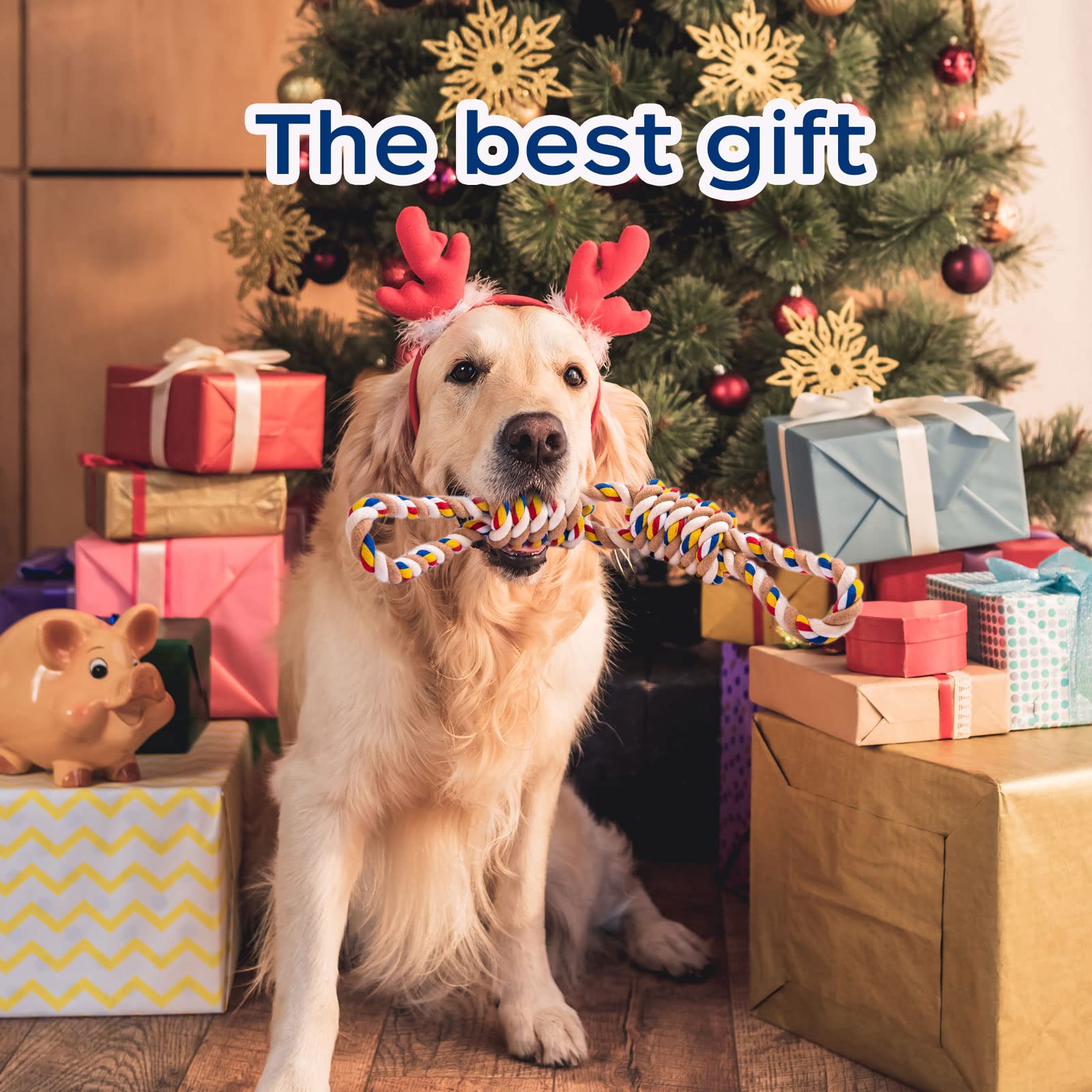 REFEVENO natural cotton rope toy in everyday chew session for daily boredom relief.