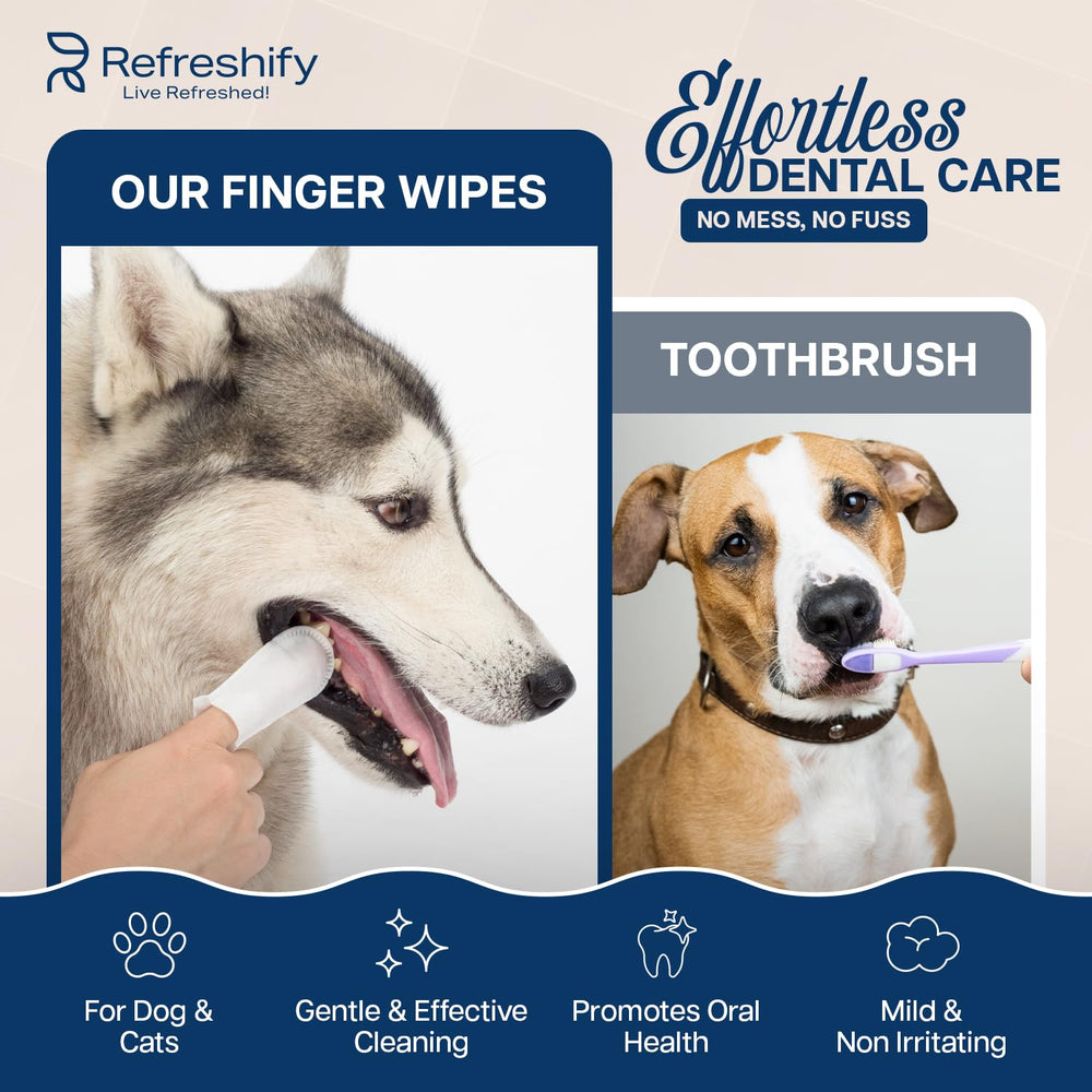 REFRESHIFY vet-formulated label shown, highlighting safe, alcohol-free ingredients.