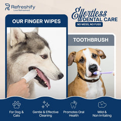 REFRESHIFY vet-formulated label shown, highlighting safe, alcohol-free ingredients.