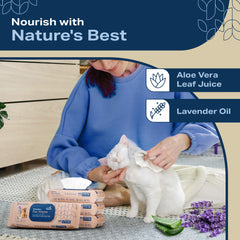 REFRESHIFY organic-ingredients avocado-aloe closeup, showcasing plant-based, gentle care