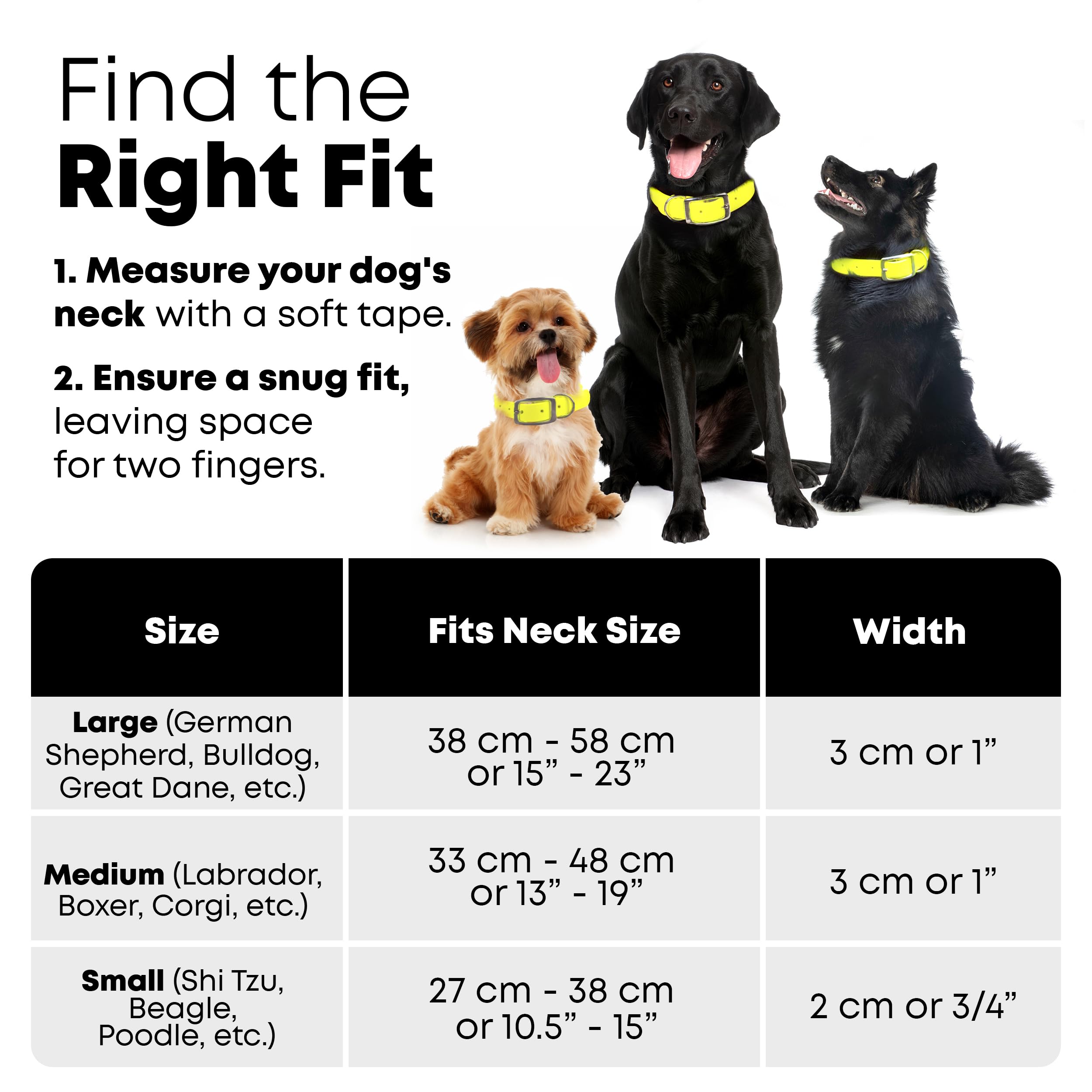 Regal Dog Products 5ft leash demonstrates sturdy construction for confident walks