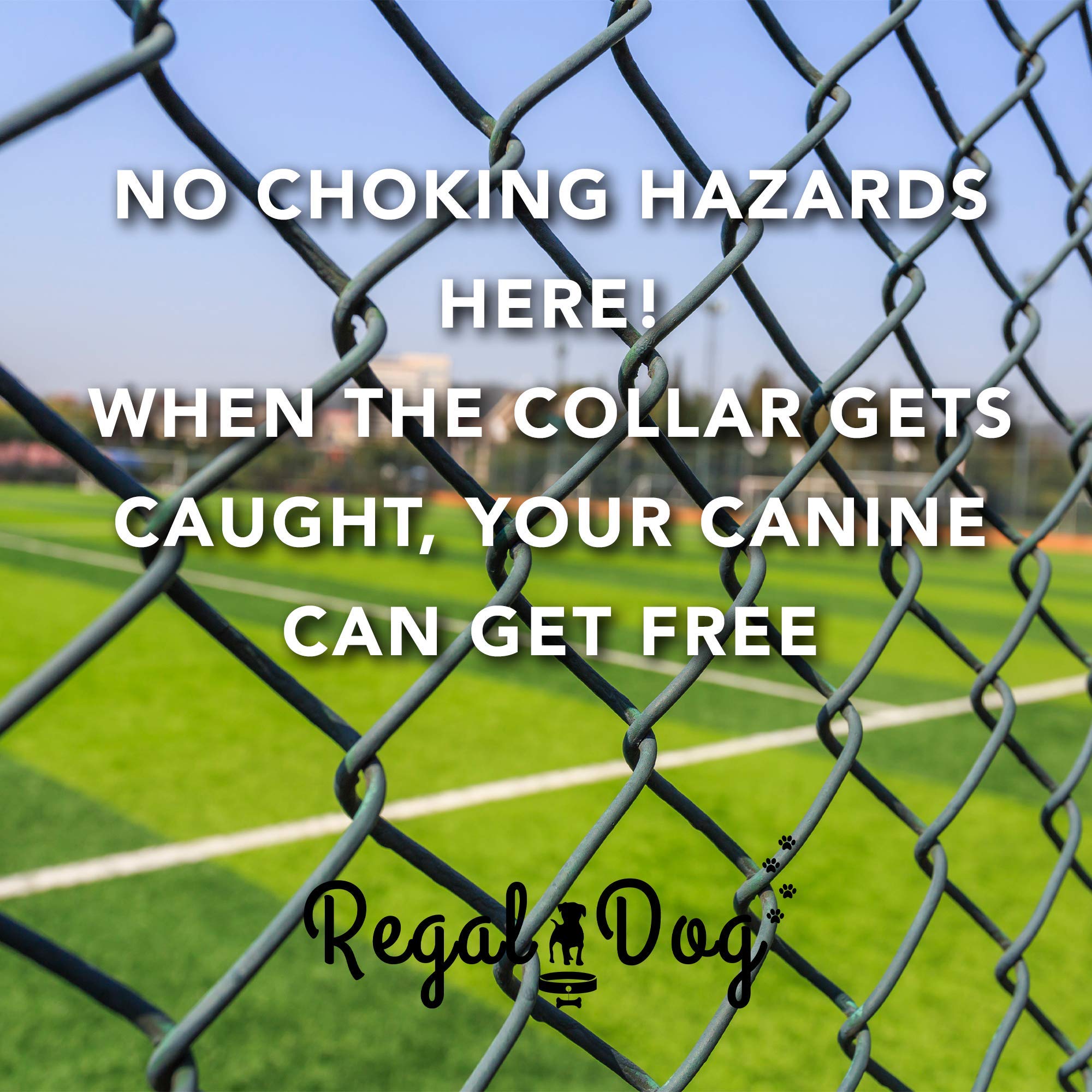 Regal Dog Products adjustable sizing suits small to large dogs.