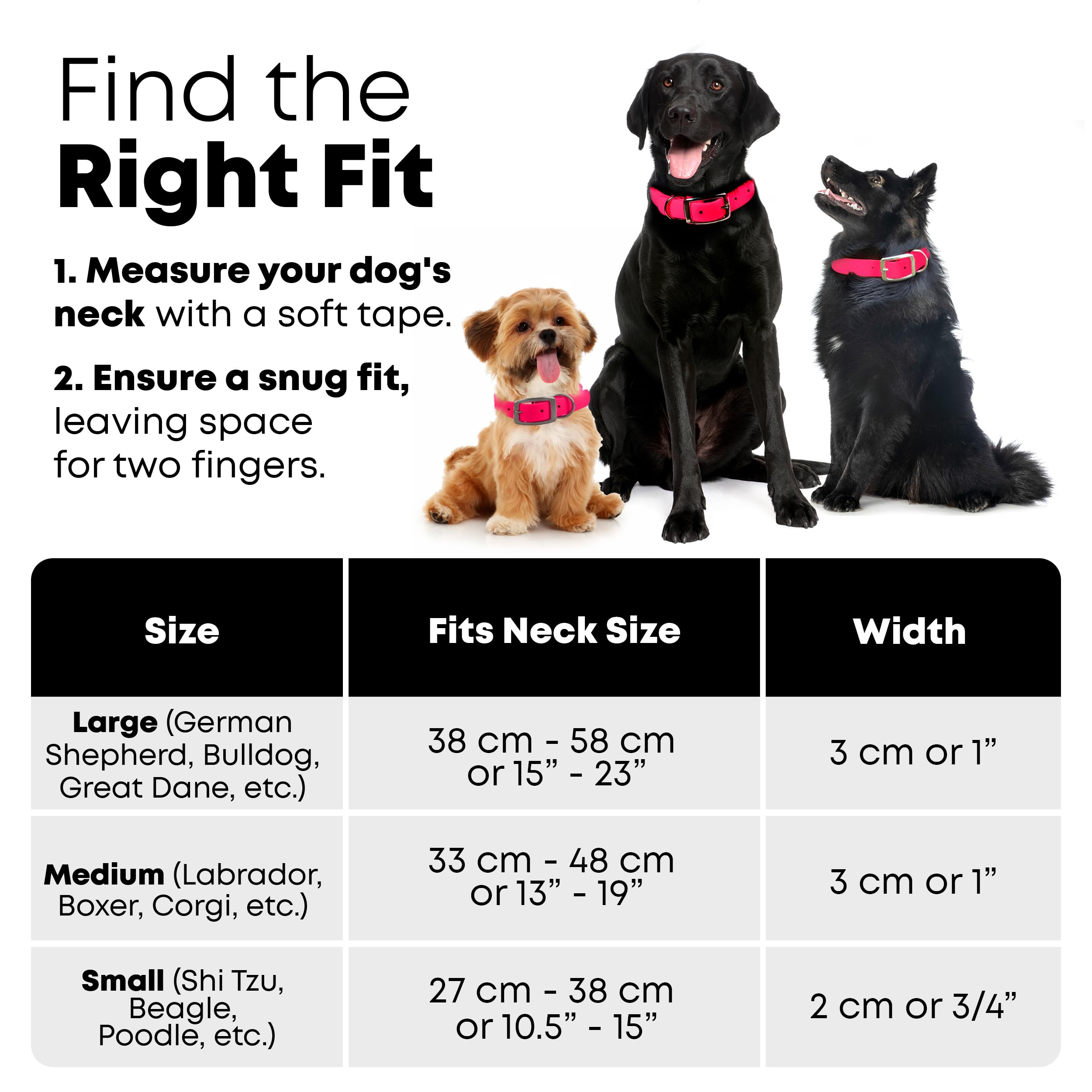 Regal Dog Products chew-resistant collar built for outdoor adventures.