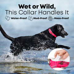 Regal Dog Products chew-resistant collar texture shown for long-lasting use.