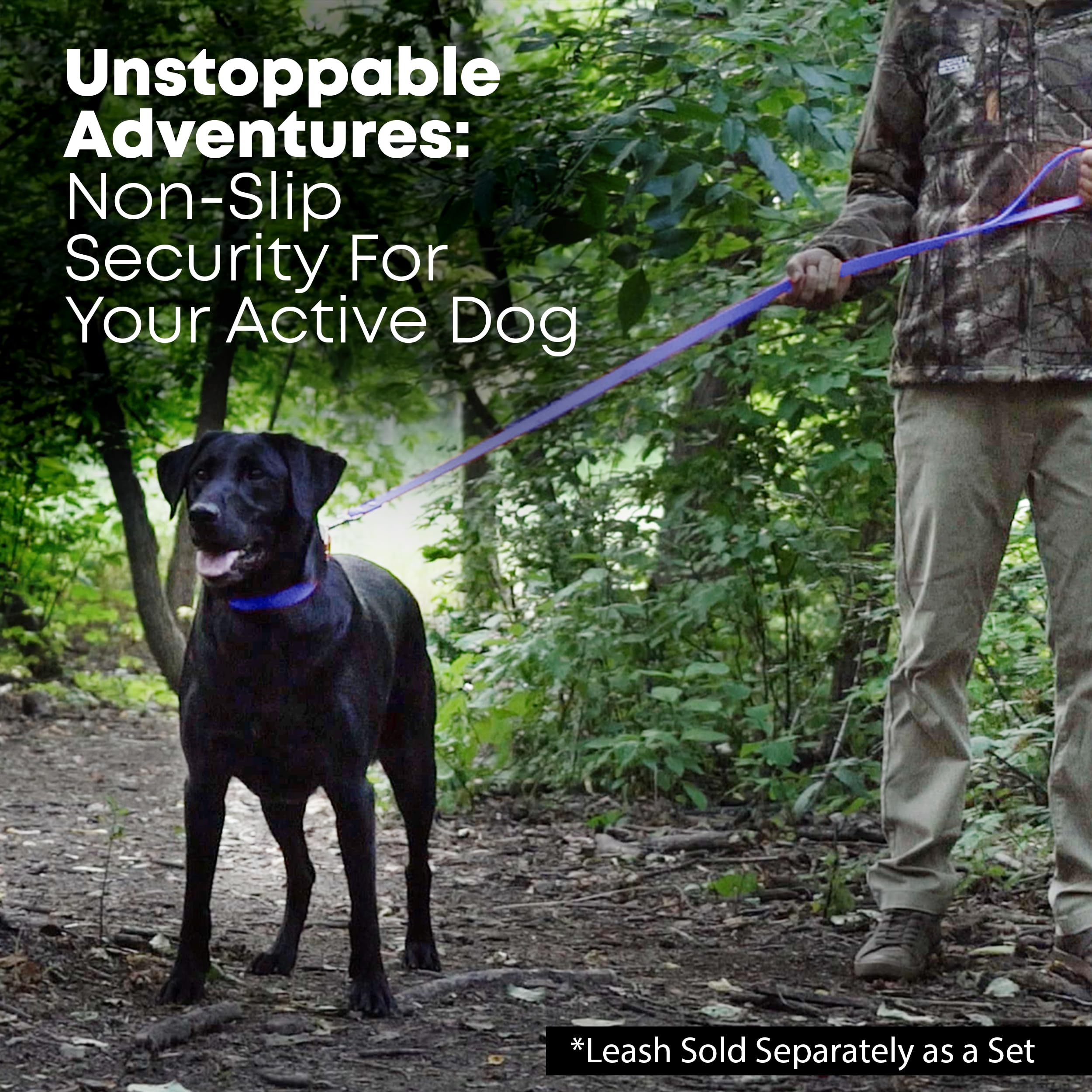 Regal Dog Products chew-resistant design helps keep dogs comfortable on muddy trails.