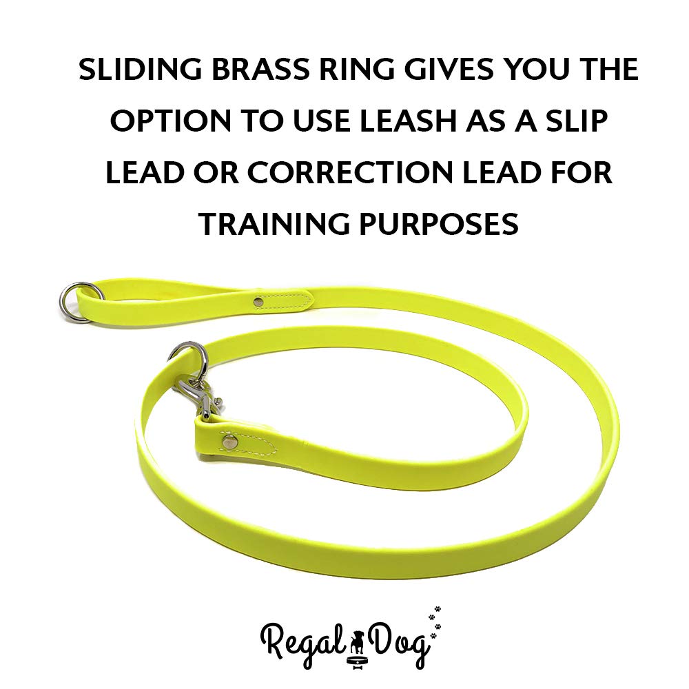 Regal Dog Products chew resistant collar designed for durable play