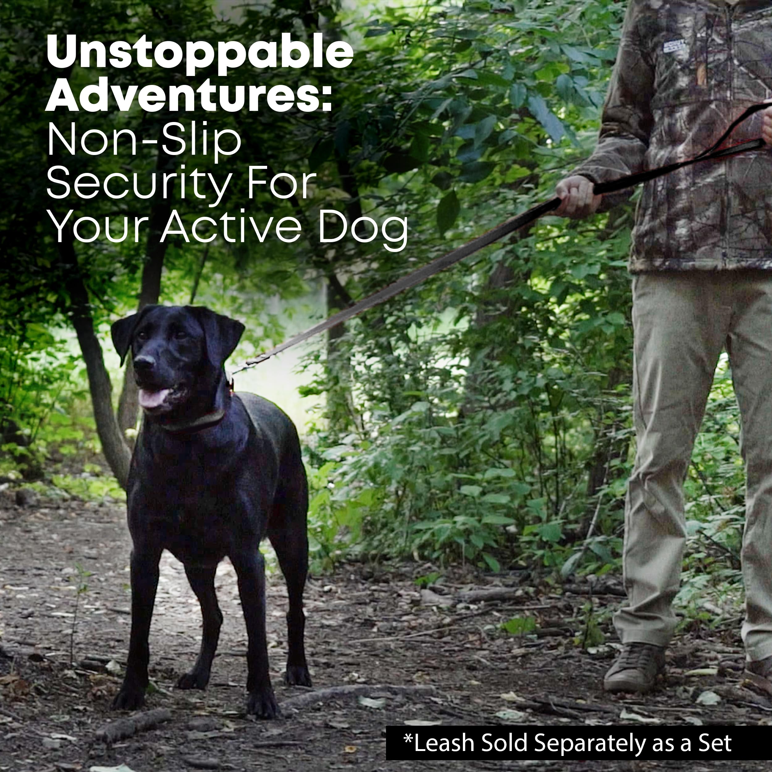 Regal Dog Products collar options in multiple colors for style and visibility