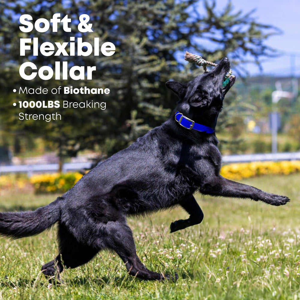 Regal Dog Products custom-fit adjustable collar for precise neck sizing.