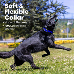 Regal Dog Products custom-fit adjustable collar for precise neck sizing.