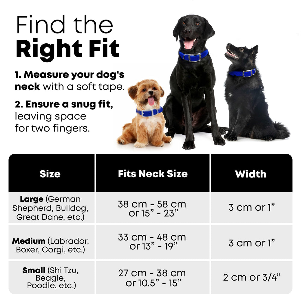 Regal Dog Products D-ring and name tag attachment for secure ID.