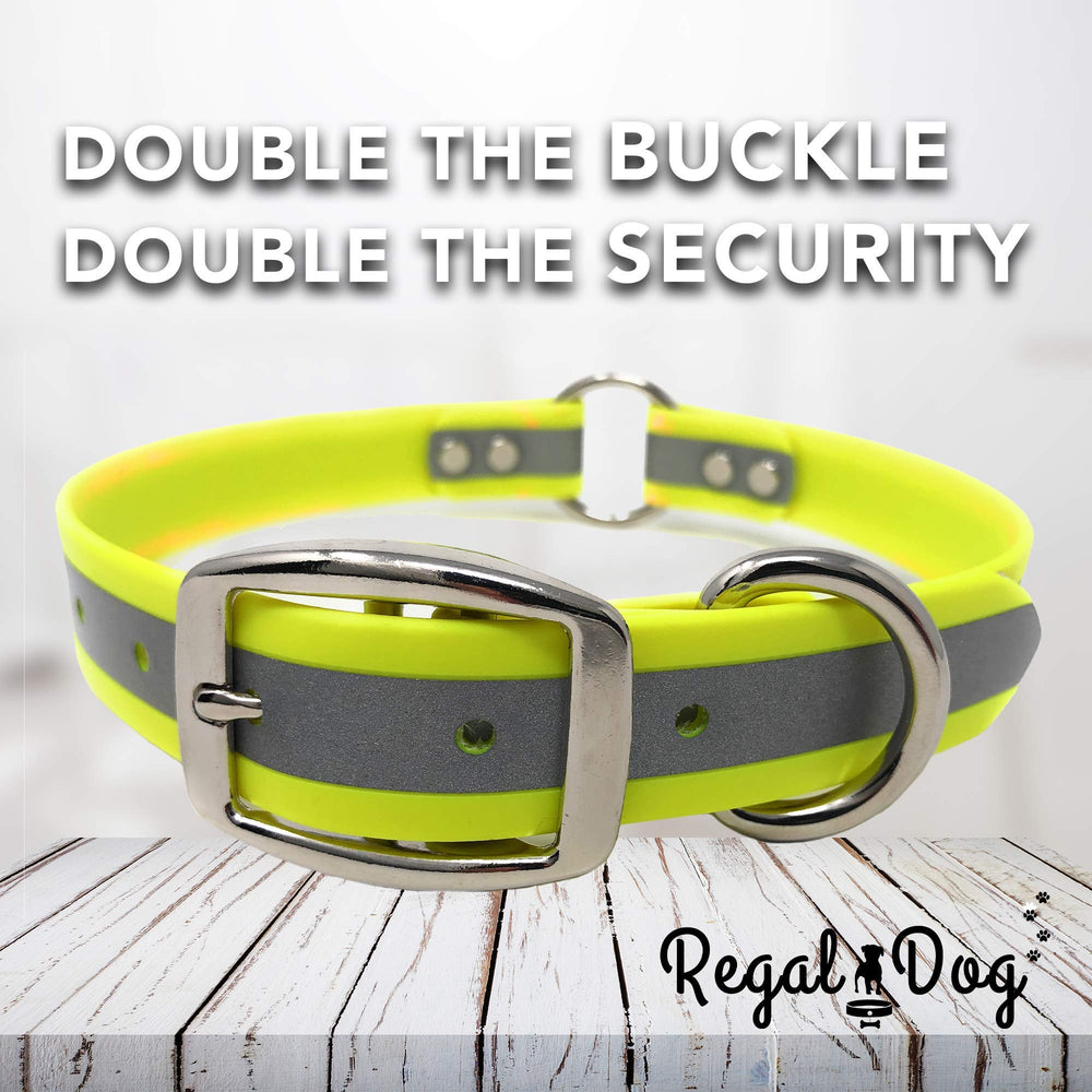 Regal Dog Products dog wearing yellow collar in park showcases stylish functional design