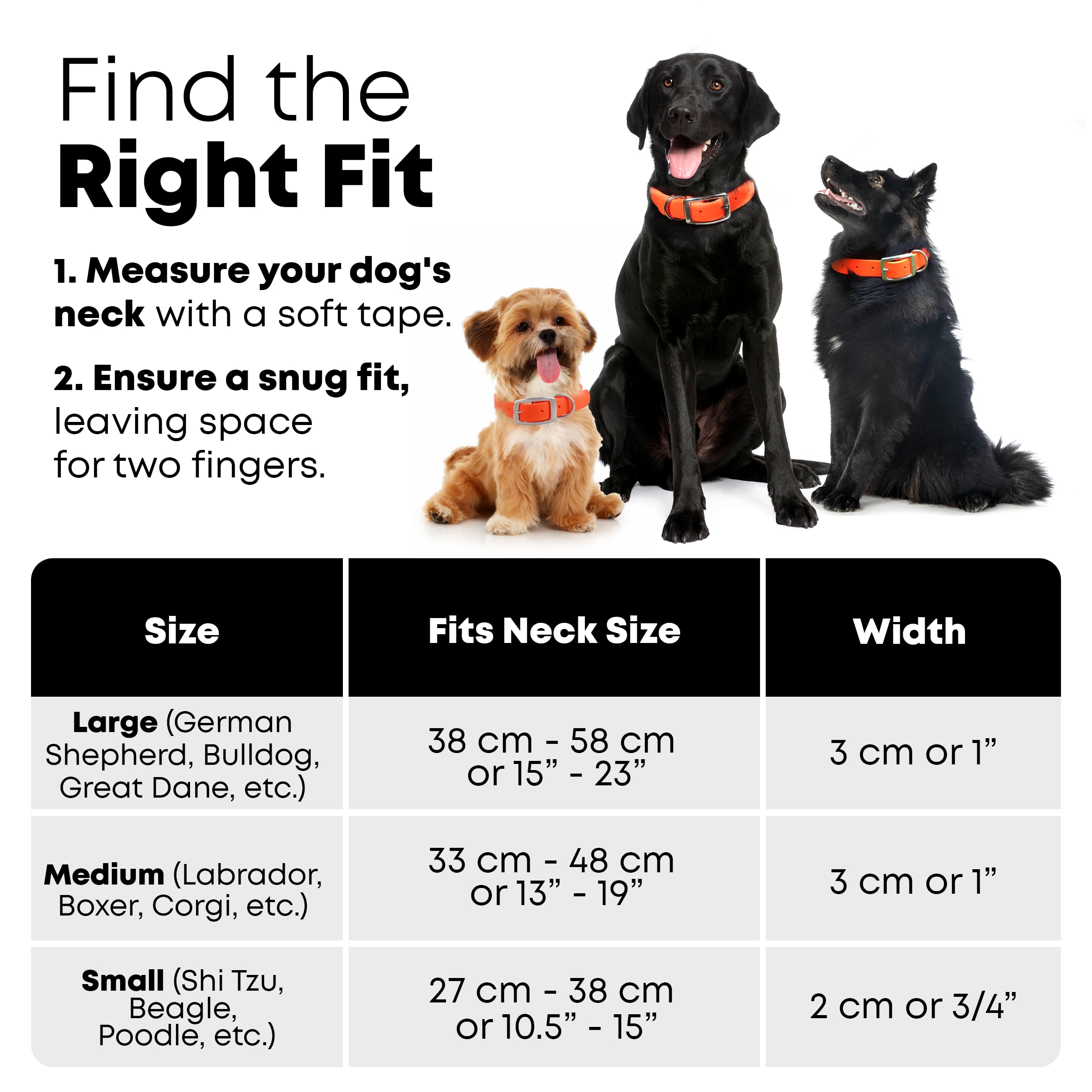 Regal Dog Products durable metal buckle and D‑ring collar for secure wear
