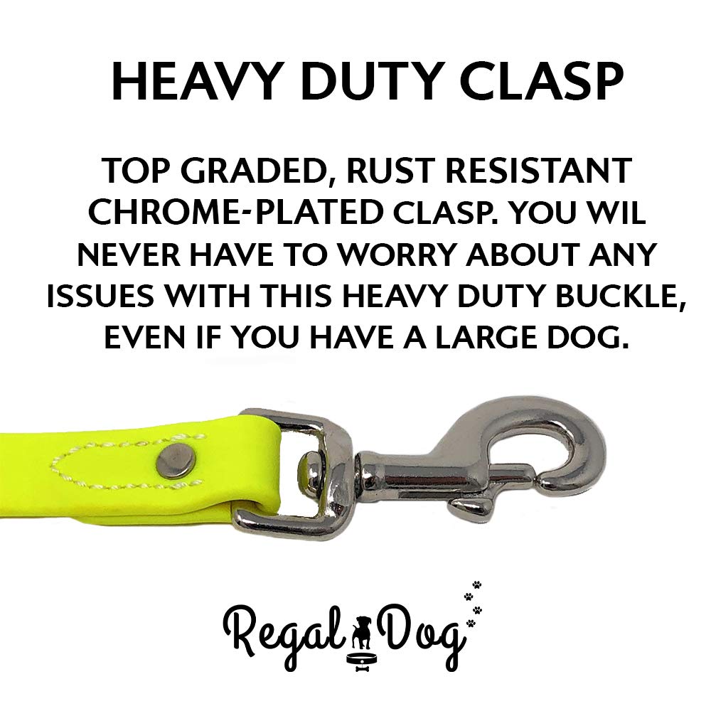 Nickel-plated double buckle hardware on Regal Dog collar