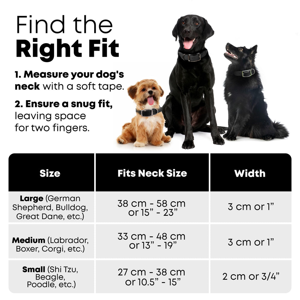 Regal Dog Products easy-clean collar can be wiped with a damp sponge