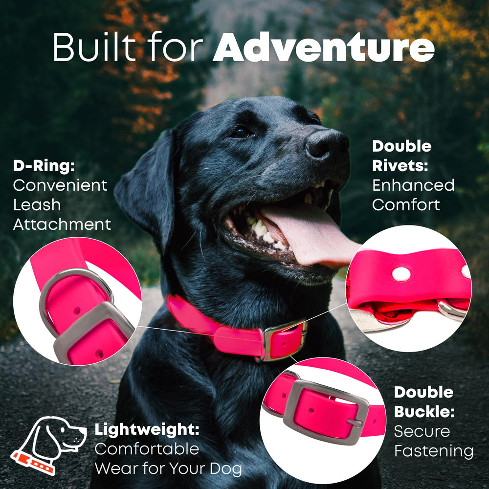 Regal Dog Products heavy-duty double buckle collar with D-ring for training.