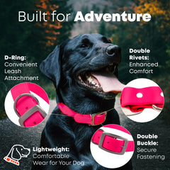 Regal Dog Products heavy-duty double buckle collar with D-ring for training.