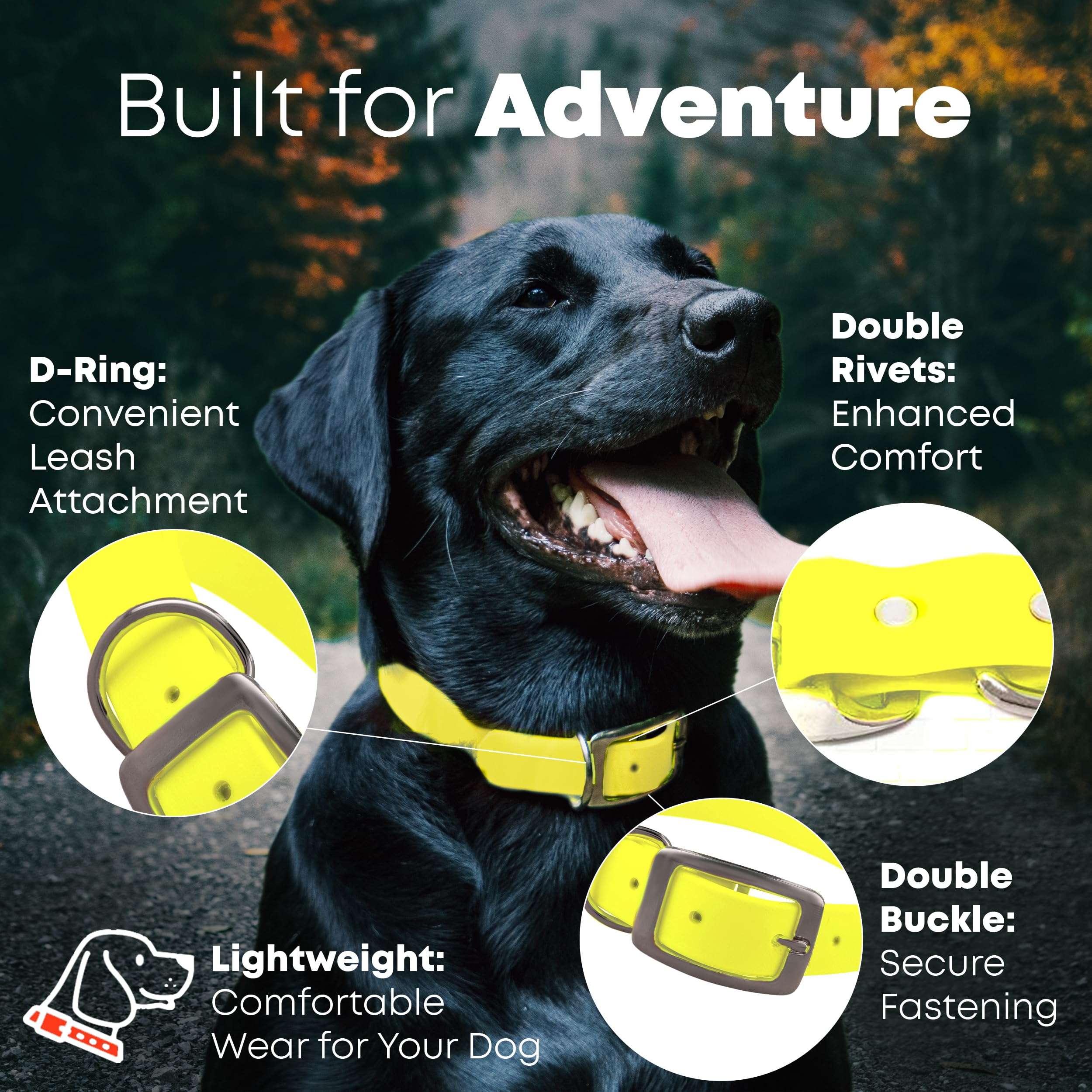 Regal Dog Products heavy duty double buckle collar for secure fit during outdoor activities