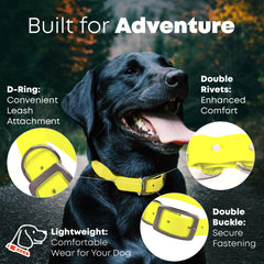 Regal Dog Products heavy duty double buckle collar for secure fit during outdoor activities