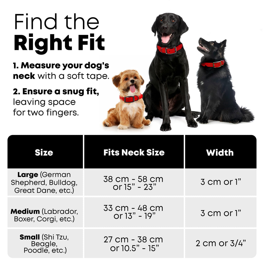 Regal Dog Products heavy-duty metal buckle and D-ring provide secure leash attachment.