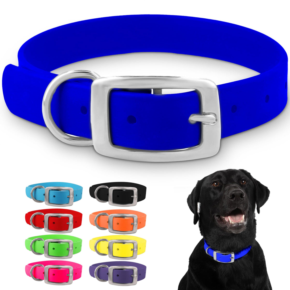 Regal Dog Products large blue dog collar with double buckle for secure control.