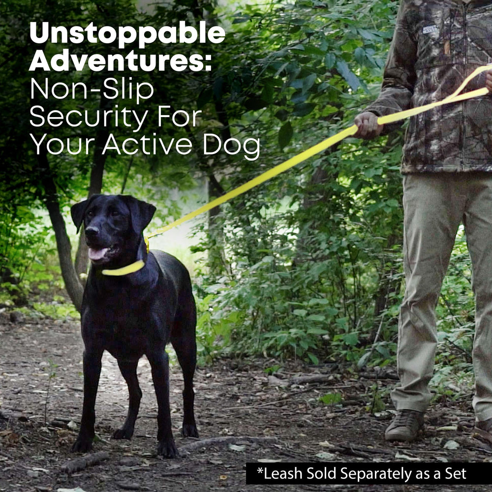 Regal Dog Products large yellow collar vinyl-coated webbing for maintenance-free use.