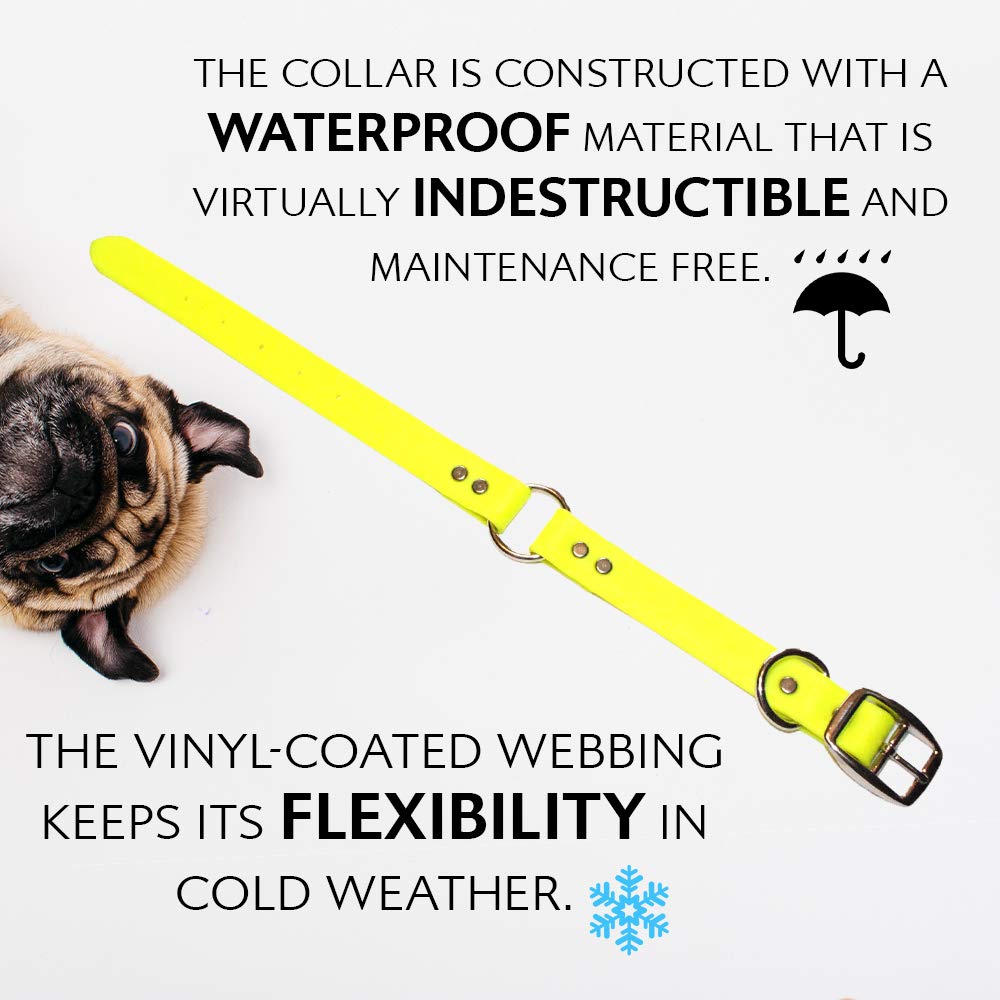 5-foot leash extended for a balanced park walk