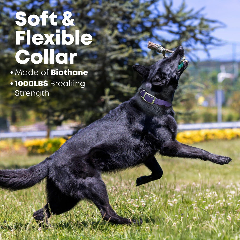 Regal Dog Products adjustable fit covers 13 to 23 inches