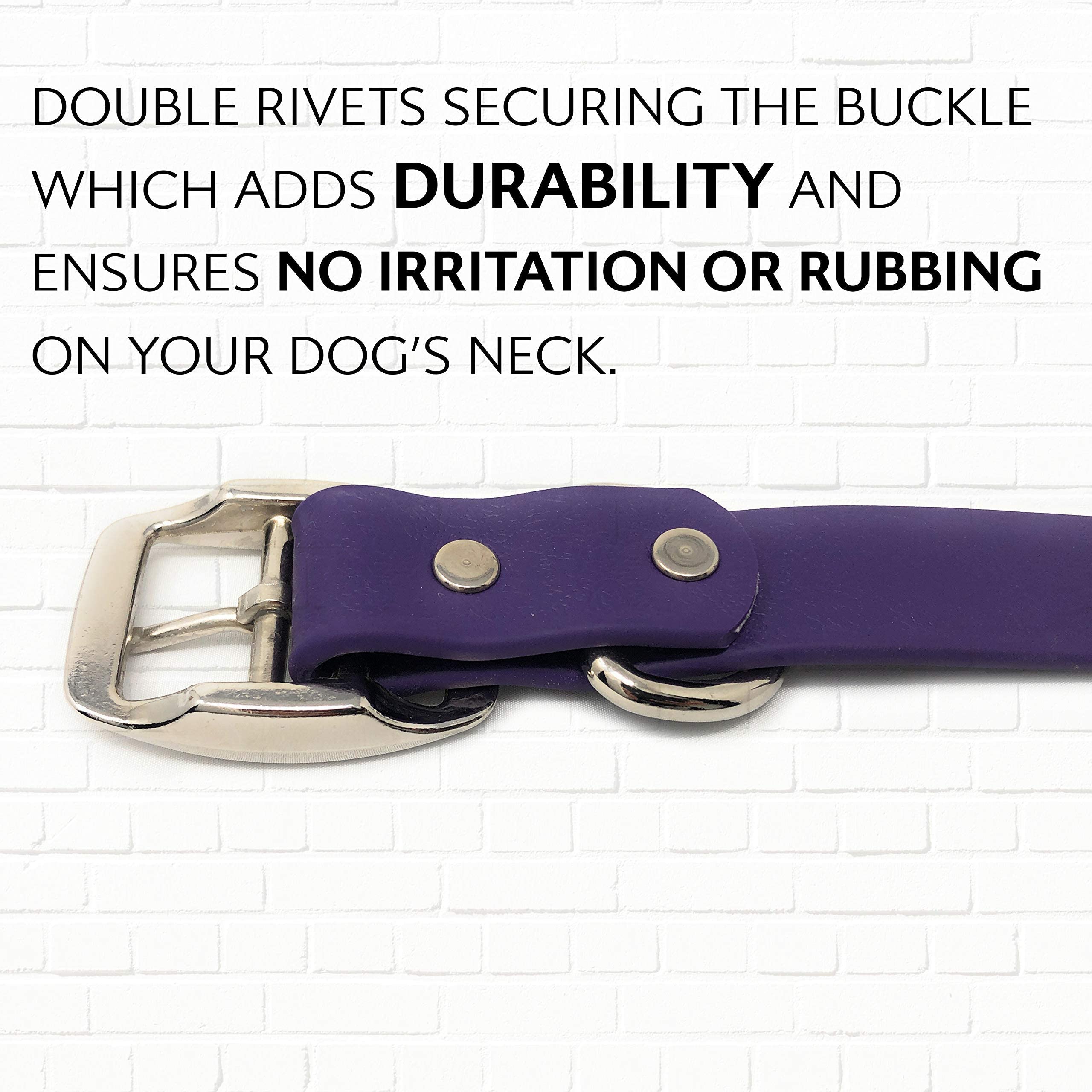 Regal Dog Products purple collar ideal for beach and outdoor adventures