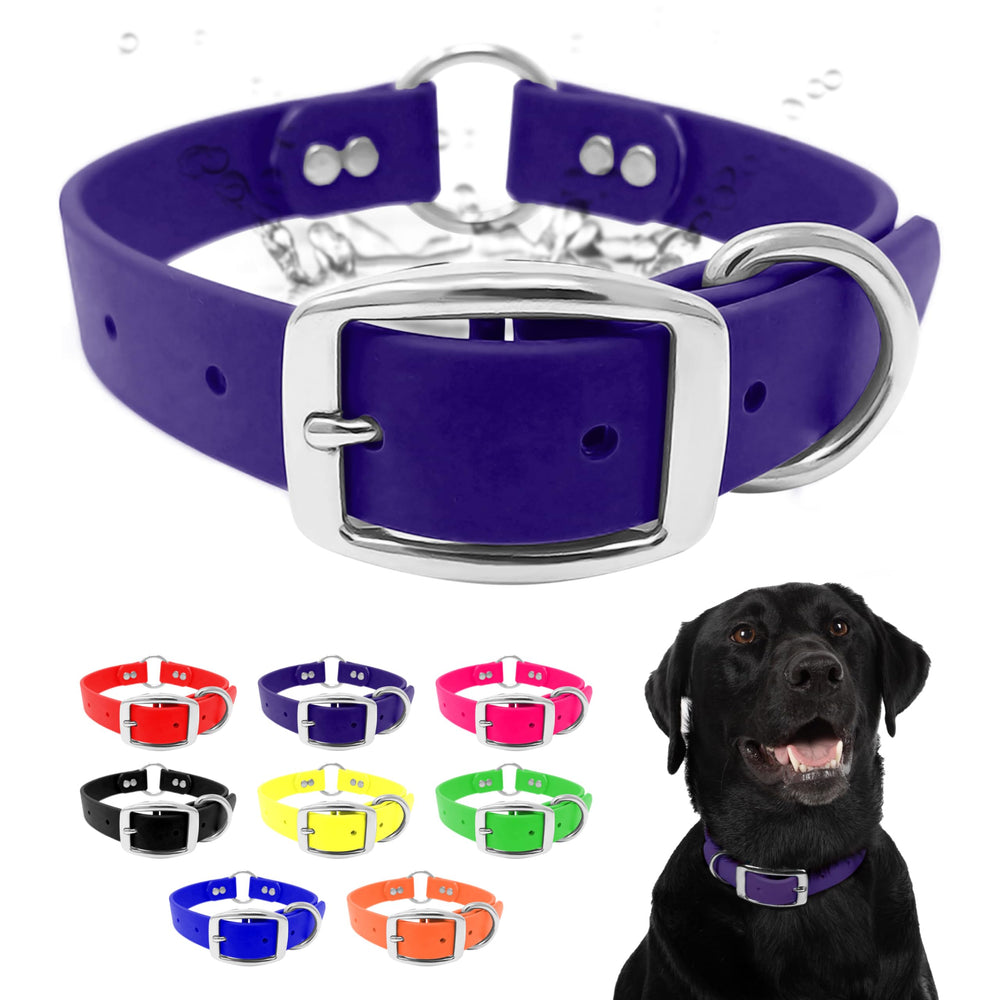 Regal Dog Products medium purple collar with double buckle for secure fit