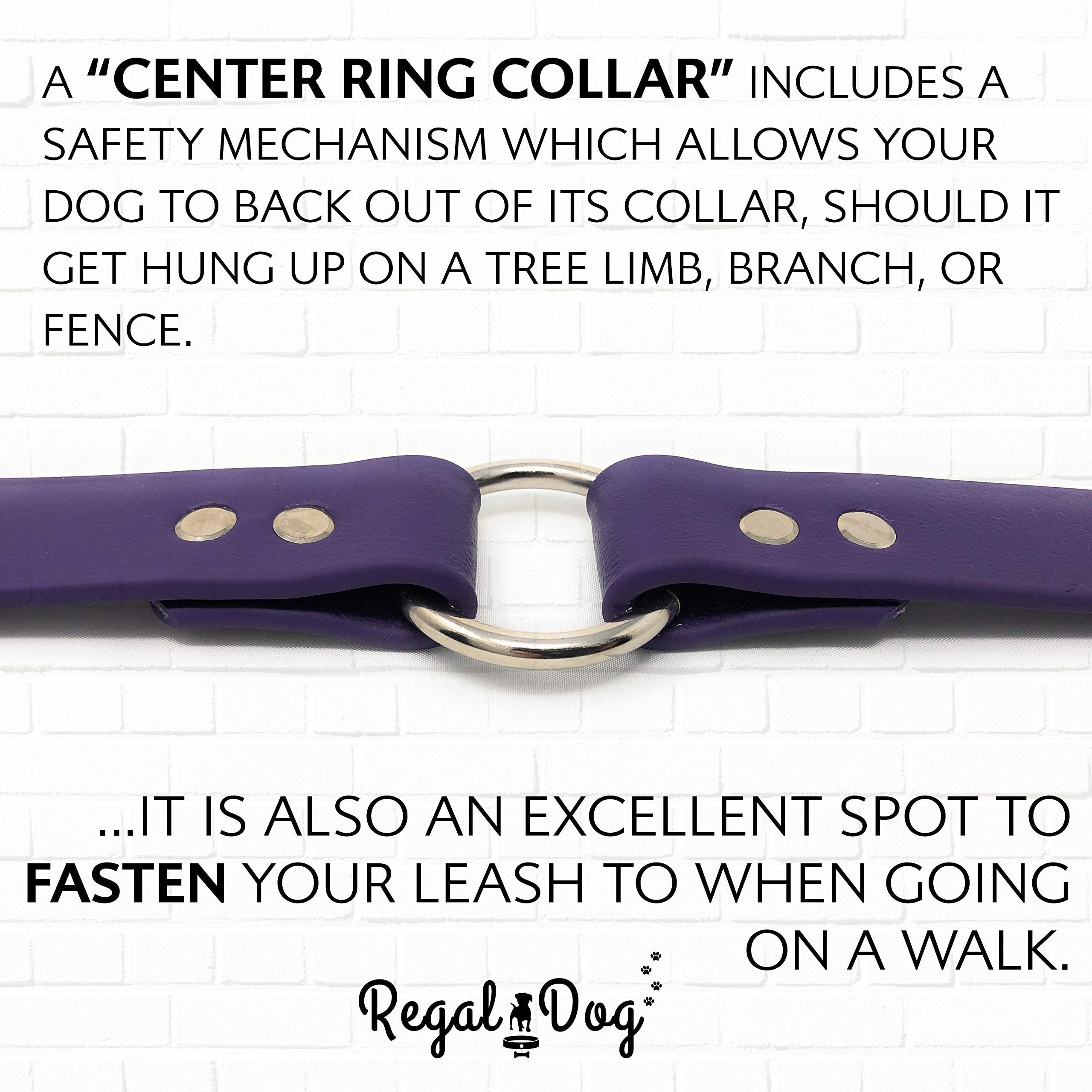 Regal Dog Products purple collar offers leather-like look with maintenance-free care
